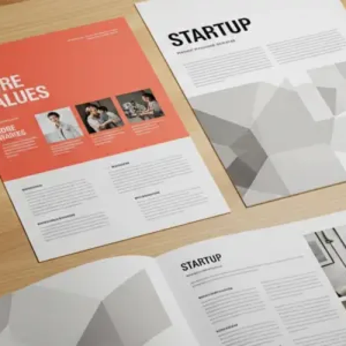 Printed startup materials including business cards, flyers and booklets laid out on a minimalist office desk