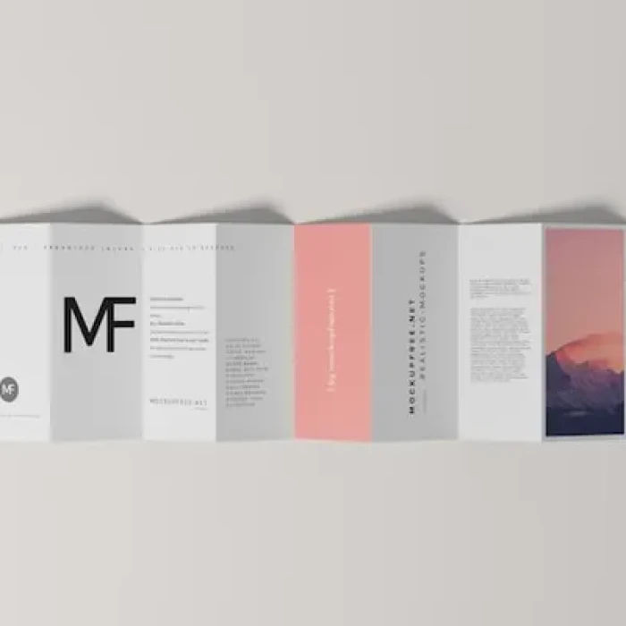 Printed folded leaflets and saddle stitched booklets displayed side by side on a wooden surface