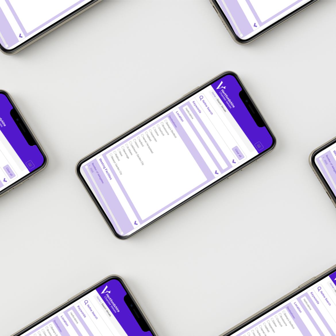 experienced website developer working in london