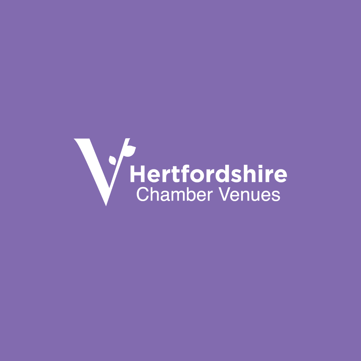 experienced website designer working on a logo