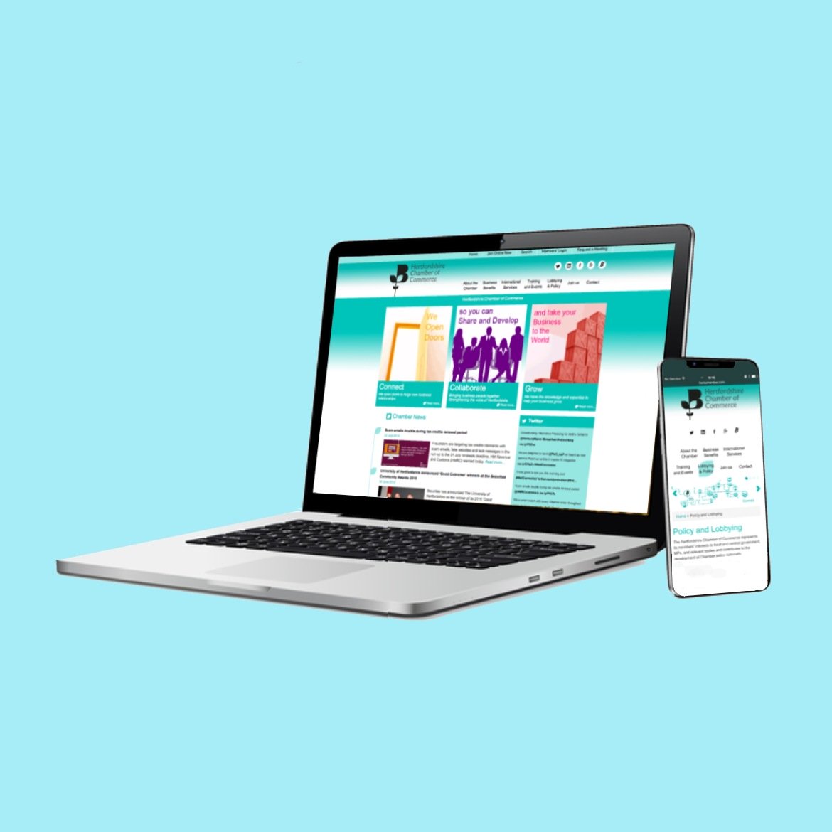herts chamber website design case study