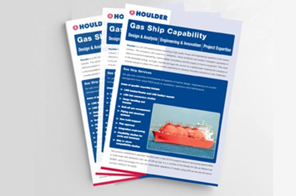 professional business flyer design agency samples
