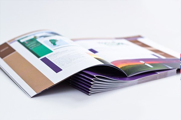 cheap leaflet printer in London sample
