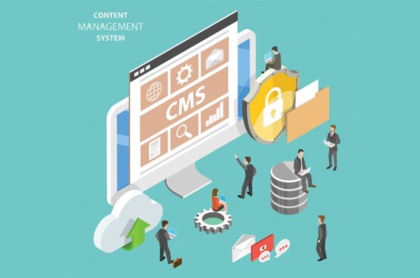 CMS Services in London